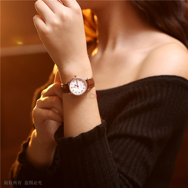 依波路 Ernest Borel 雅丽自动系列 LGR5680N-432BR 机械 女款