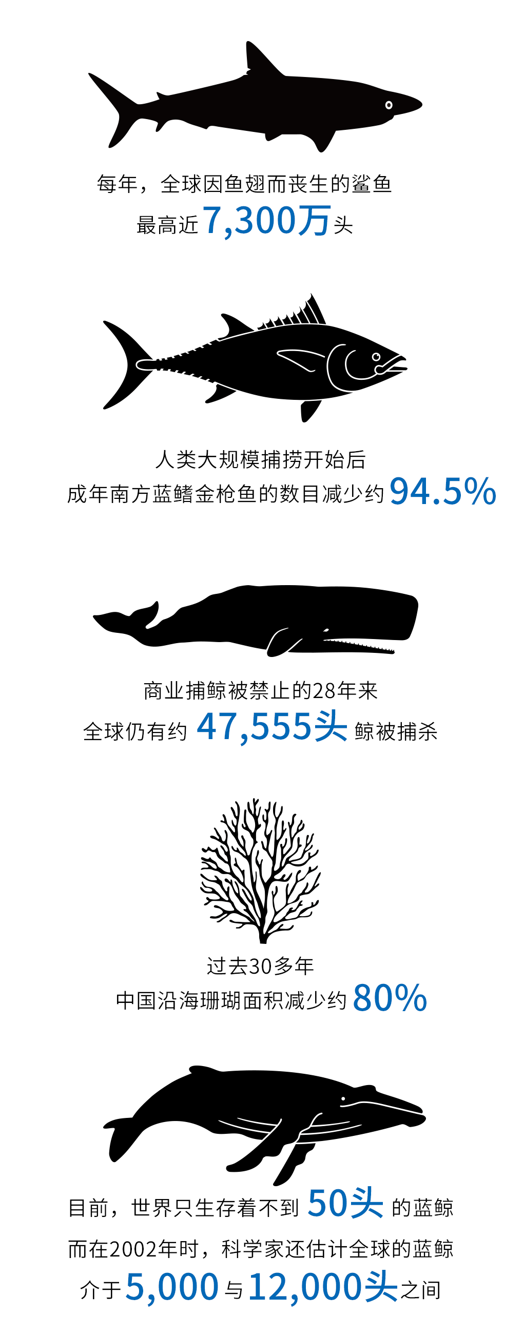 大多数人，用什么杀死海洋生物？